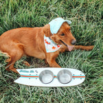 The Golden Life Kickflip Kibble Board dog feeder shaped like a skateboard with two stainless steel bowls, white board design with teal and orange racing stripes, and fixed black wheels. Get your Skateboard Dog Bowl today!