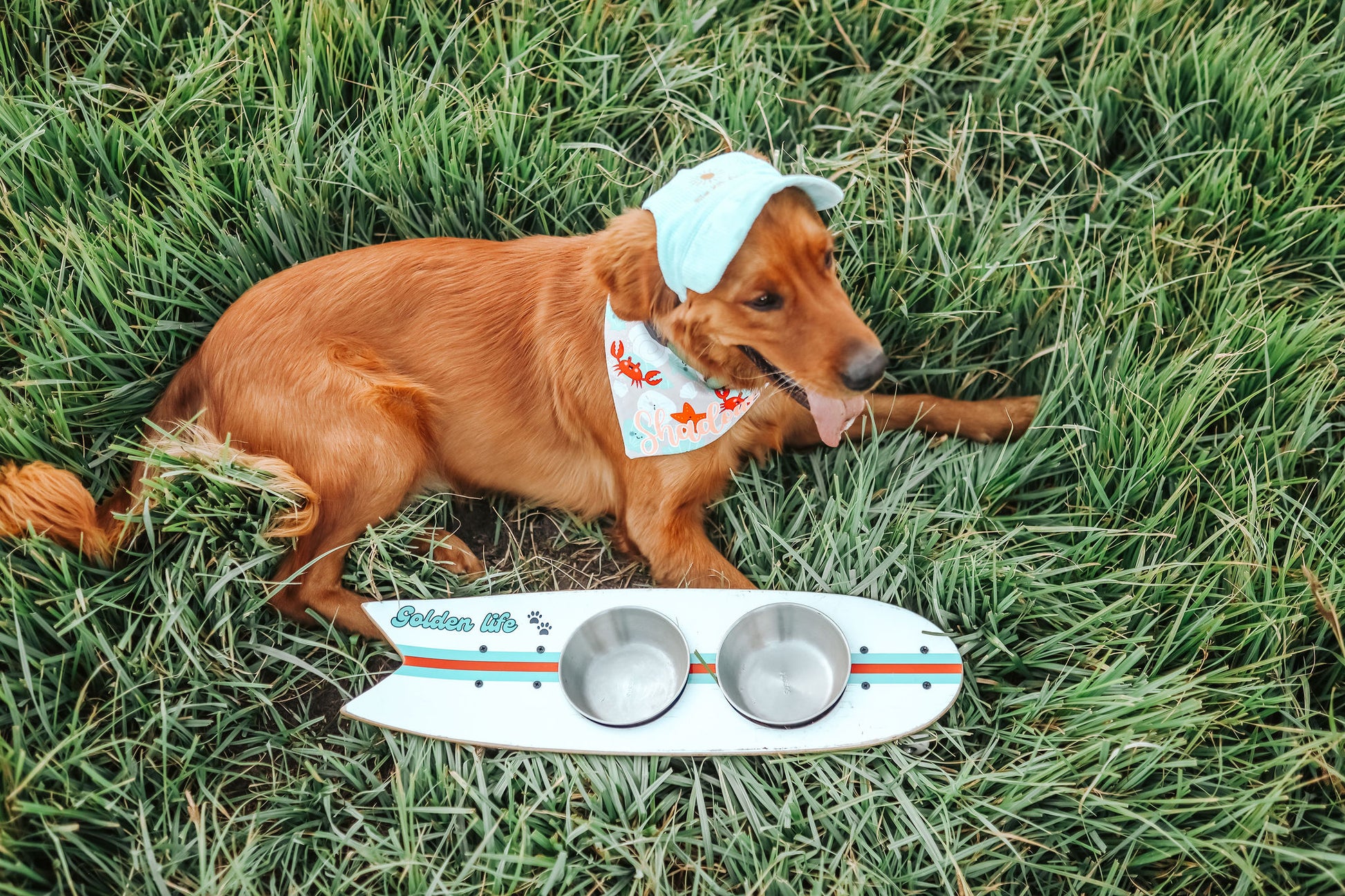 The Golden Life Kickflip Kibble Board dog feeder shaped like a skateboard with two stainless steel bowls, white board design with teal and orange racing stripes, and fixed black wheels. Get your Skateboard Dog Bowl today!