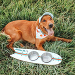 The Golden Life Kickflip Kibble Board dog feeder shaped like a skateboard with two stainless steel bowls, white board design with teal and orange racing stripes, and fixed black wheels. Get your Skateboard Dog Bowl today!
