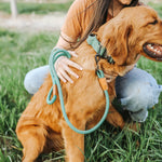The Golden Life Trail Collar – Dog Collar with Built-In Handle