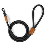 The Golden Life Trail Collar + Leash Kit