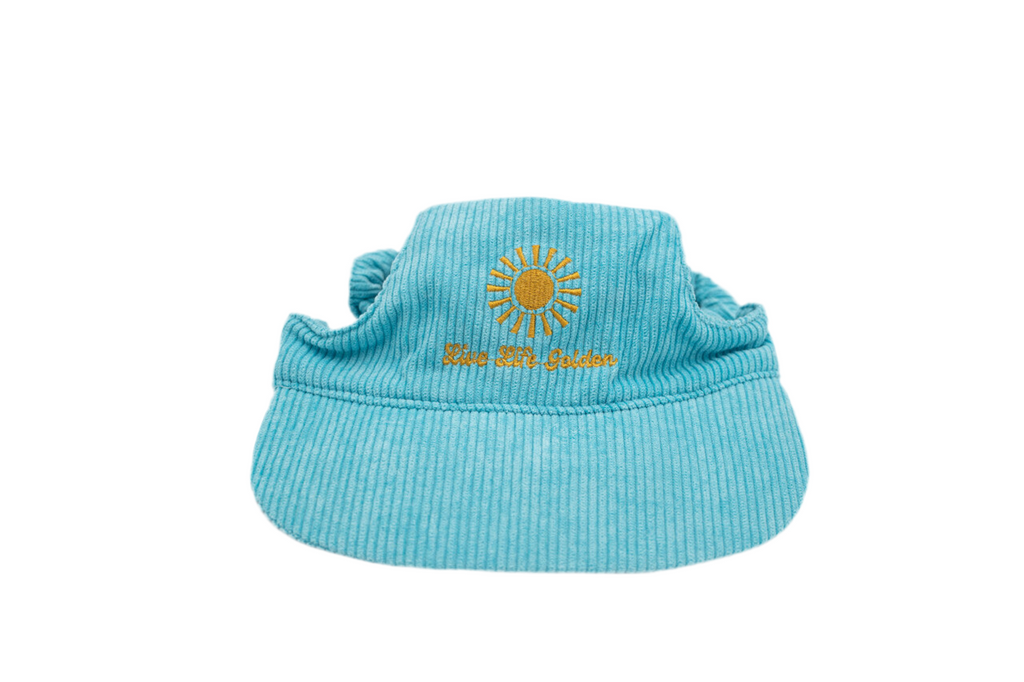 Neon blue corduroy dog hat with golden sunburst and ‘Live Life Golden’ embroidery from The Golden Life.