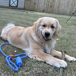 The Golden Life Trail Slip Lead Kit
