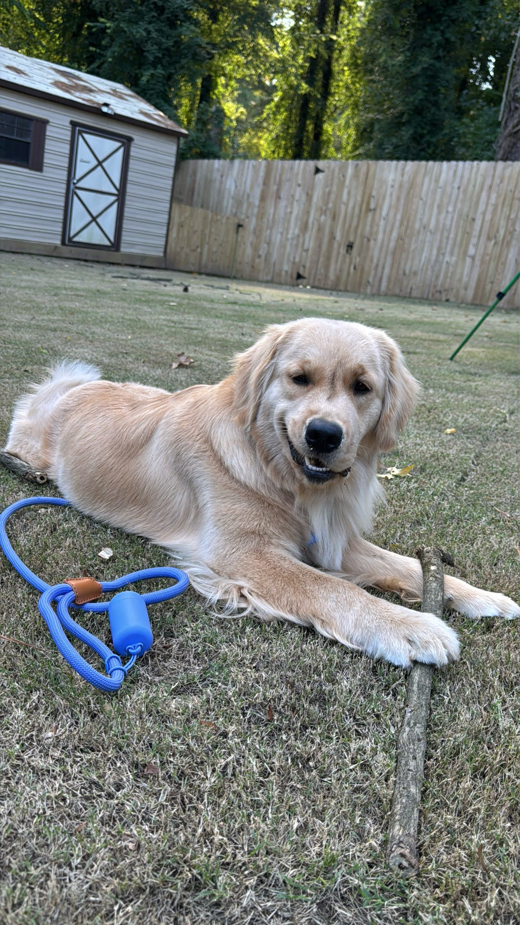 The Golden Life Trail Slip Lead Kit