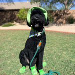 Build Your Own Dog Bucket Hat