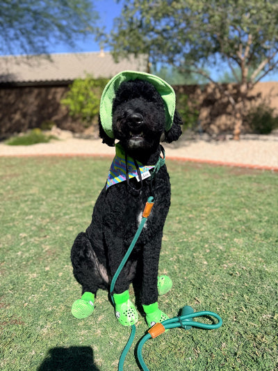 Build Your Own Dog Bucket Hat