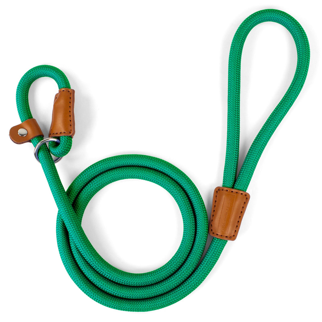 The Golden Life Trail Slip Lead