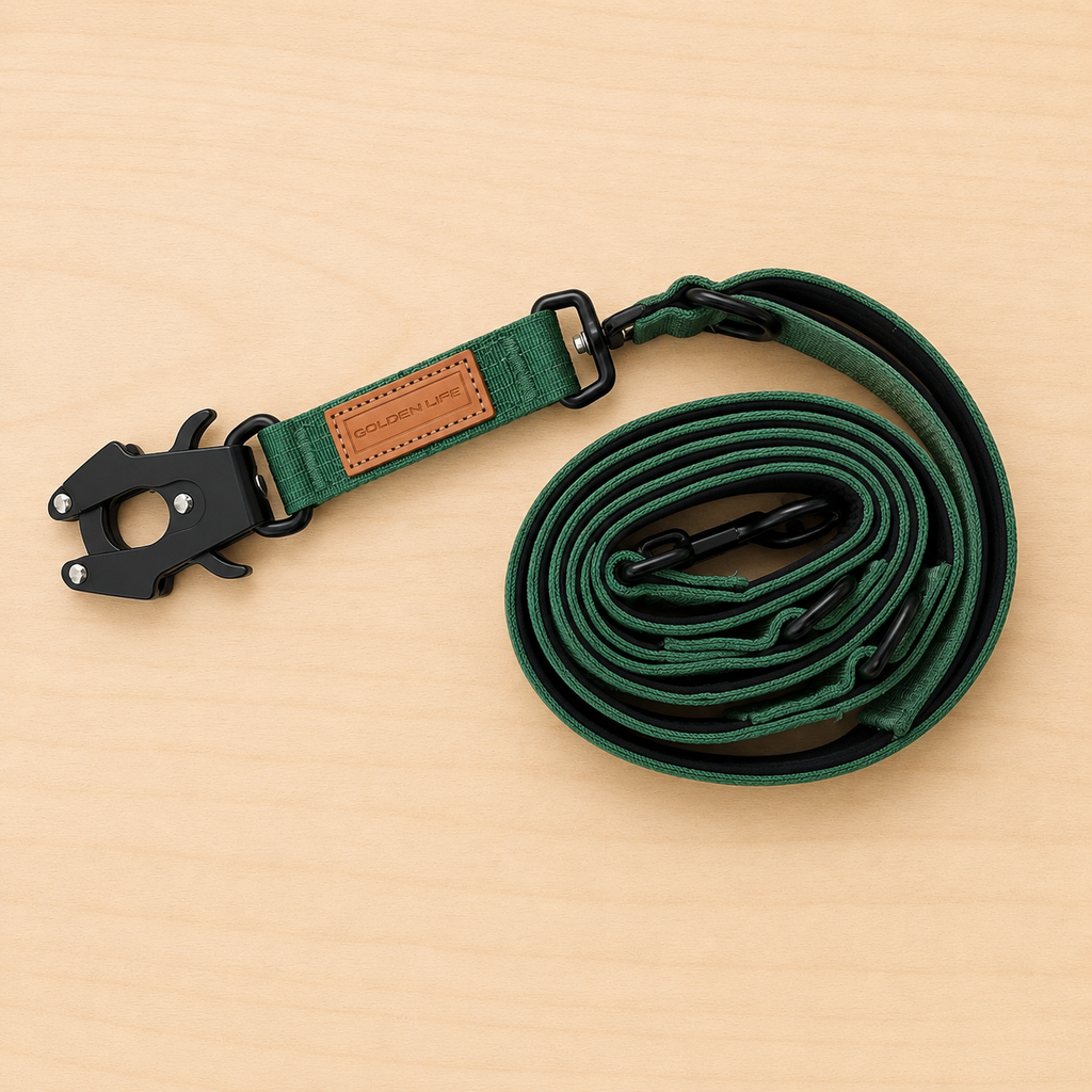 Hands Free Dog Leash