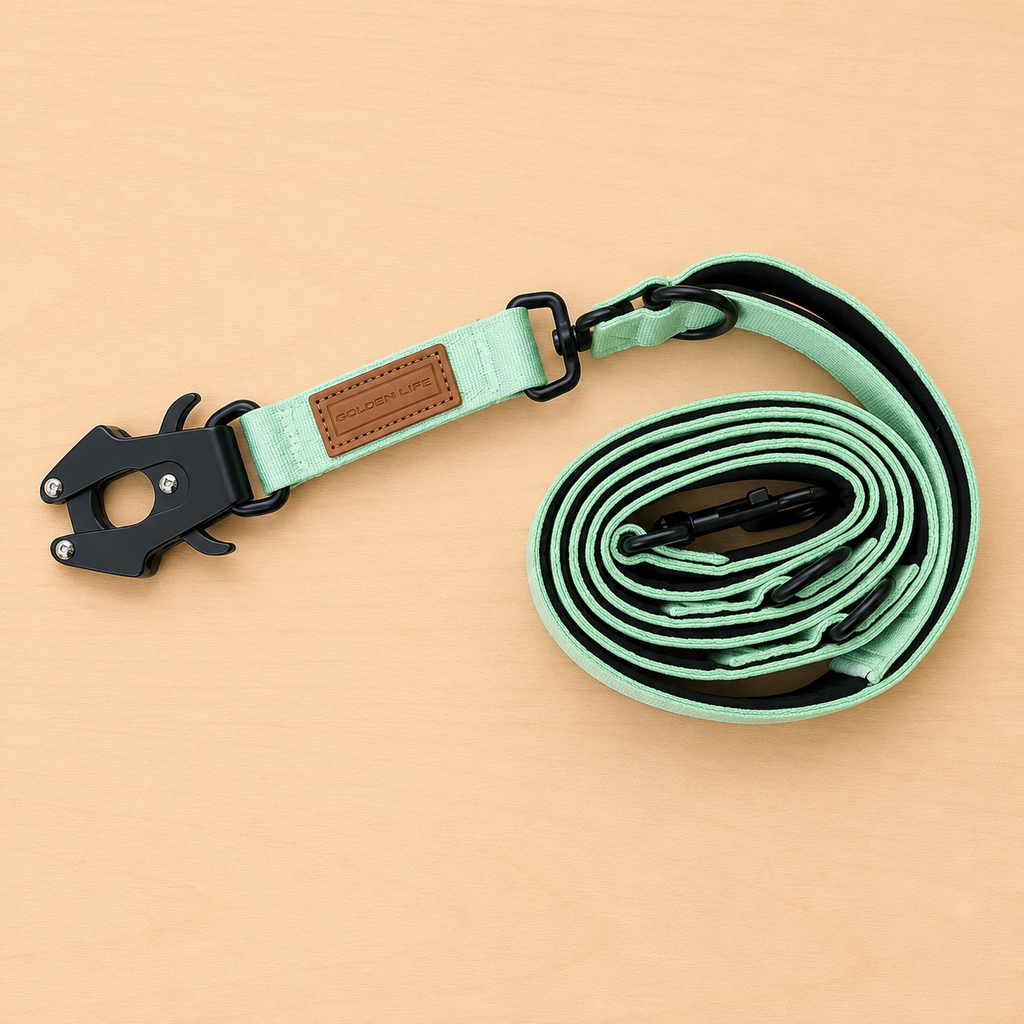 Hands Free Dog Leash