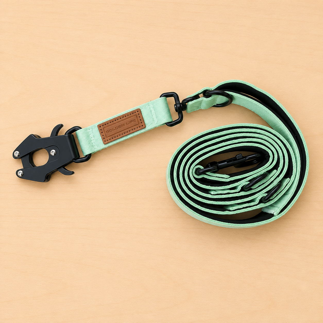 Hands Free Dog Leash