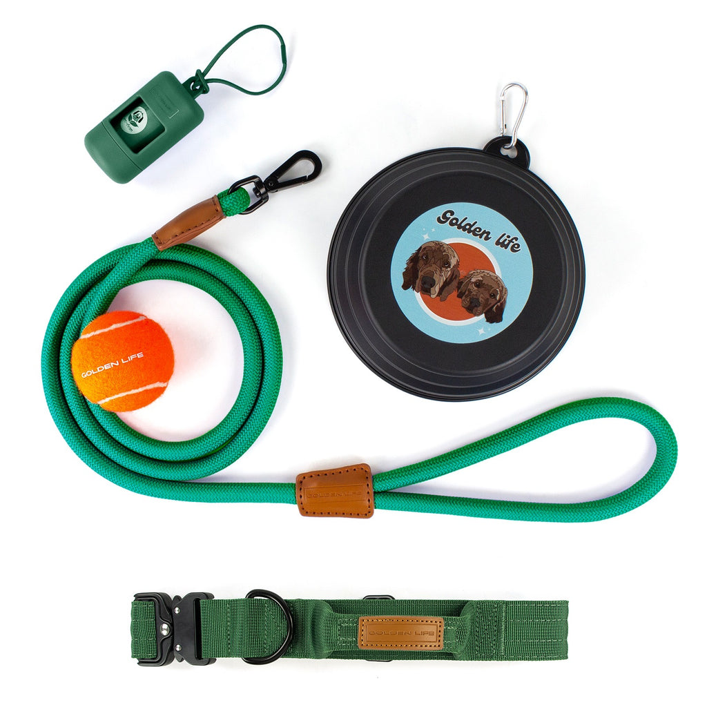 The Golden Life Trail Collar + Leash Kit