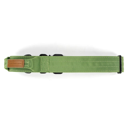 Pistachio Trail Leash Kit