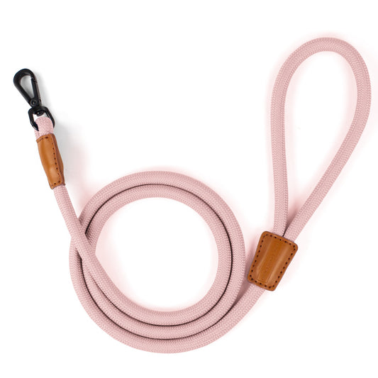 Cotton Candy Clip On Leash