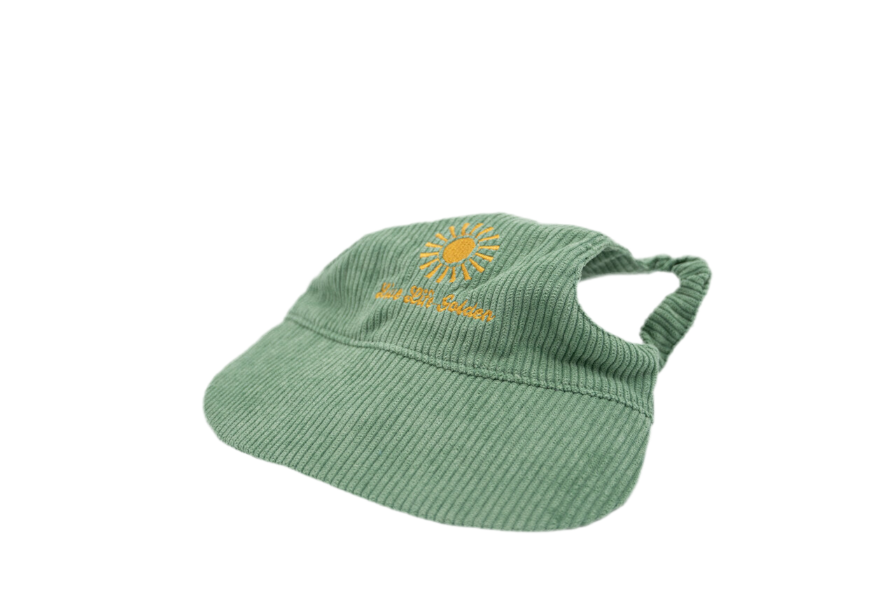 Angled view of Moss & Mischief green corduroy dog hat with golden sunburst embroidery and ‘Live Life Golden’ text.