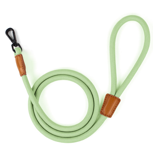 Pistachio Clip On Leash