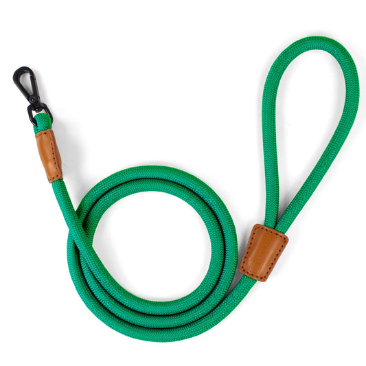 Evergreen Clip On Leash