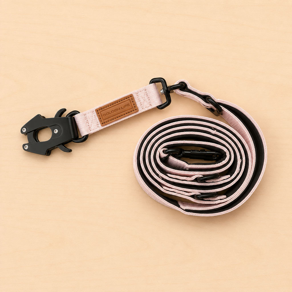 Hands Free Dog Leash