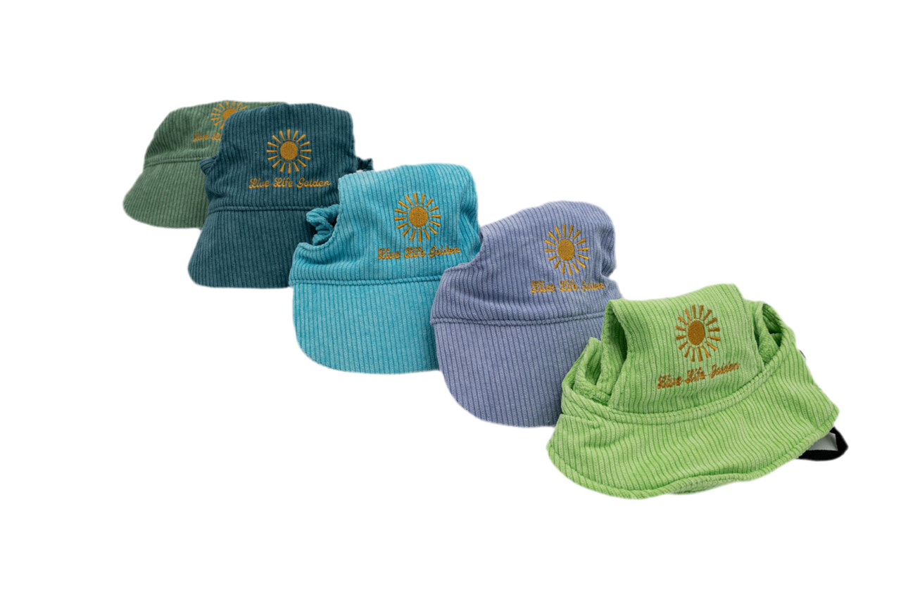Full Live Life Golden corduroy dog hat collection in multiple colors, each with sunburst embroidery and ear holes for dogs.