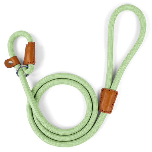 Pistachio Trail Slip Lead