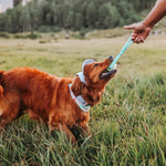 Corduroy Dog Hat – The Golden Life Collection