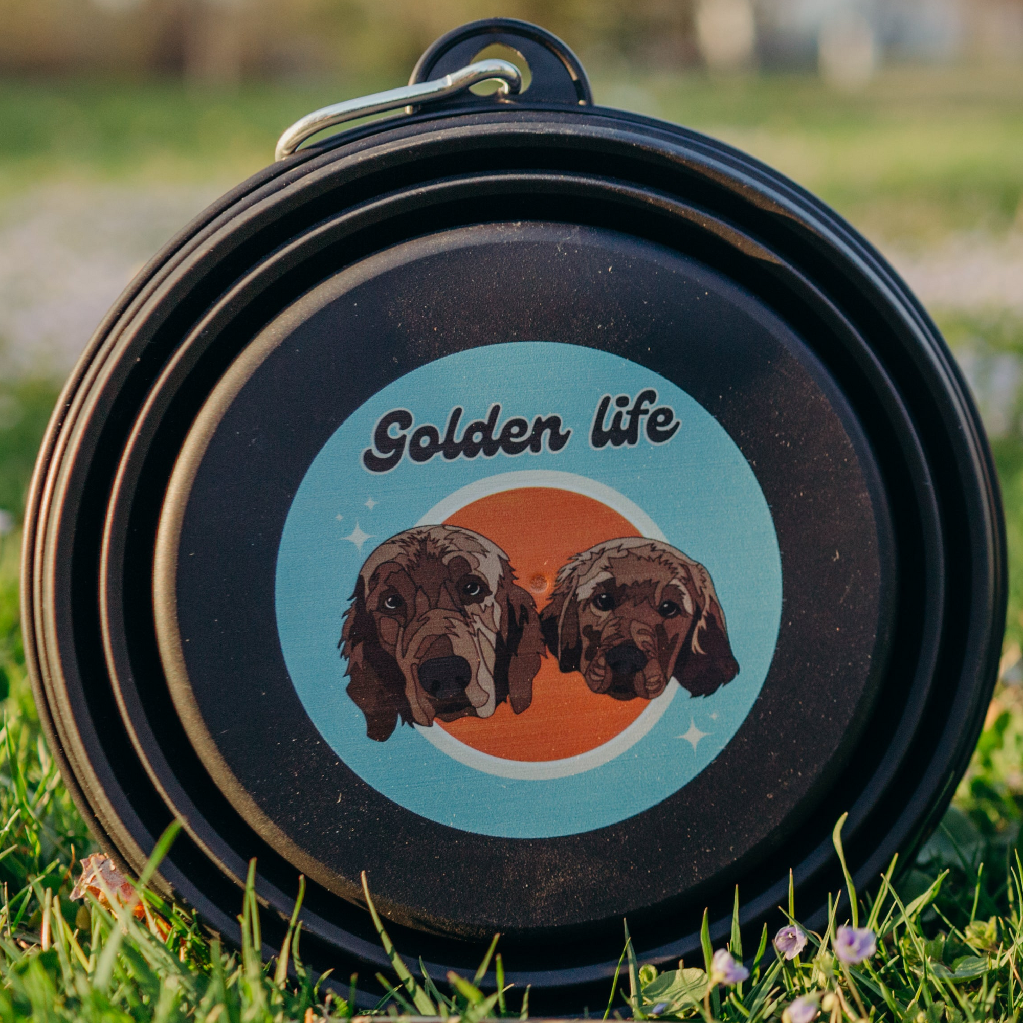 Collapsible Water Bowl 33.8 oz