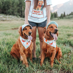 Corduroy Dog Hat – The Golden Life Collection