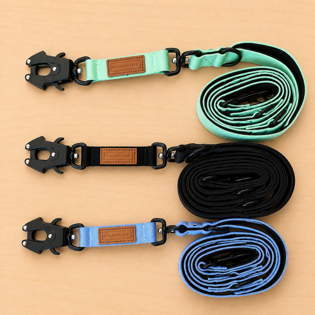 Hands Free Dog Leash
