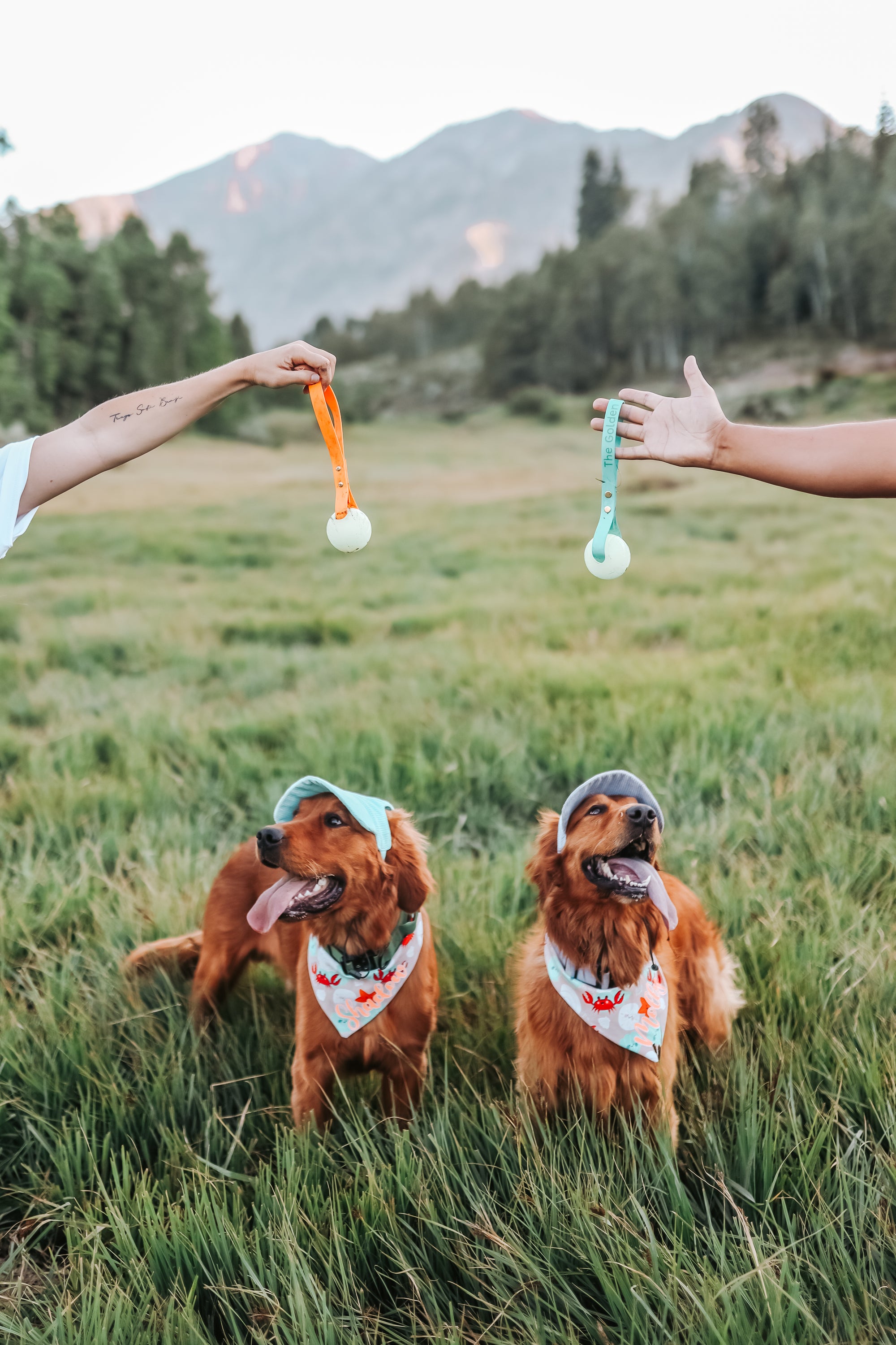 Corduroy Dog Hat – The Golden Life Collection