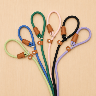 The Golden Life Trail Slip Lead