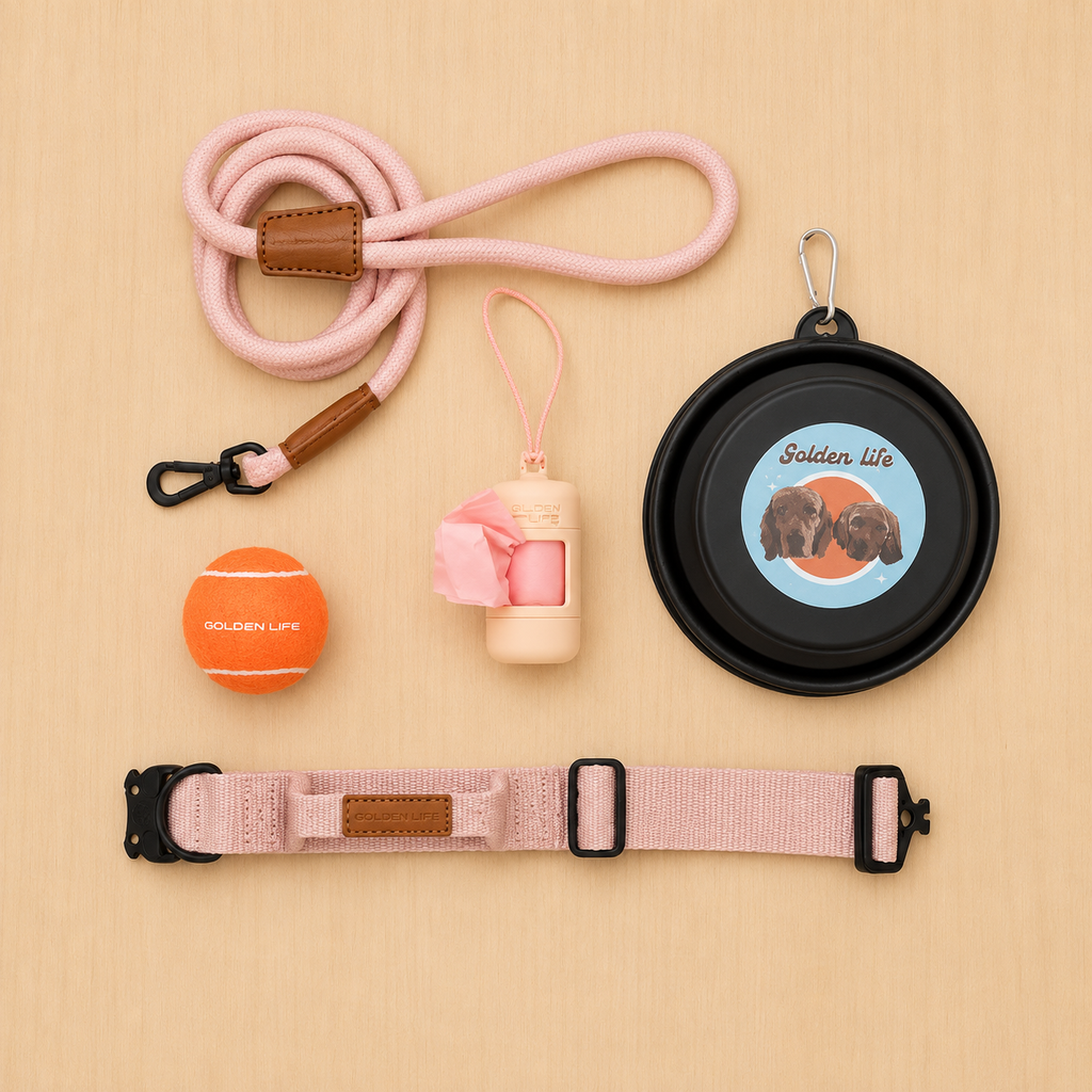 The Golden Life Trail Collar + Leash Kit