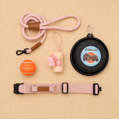 The Golden Life Trail Collar + Leash Kit