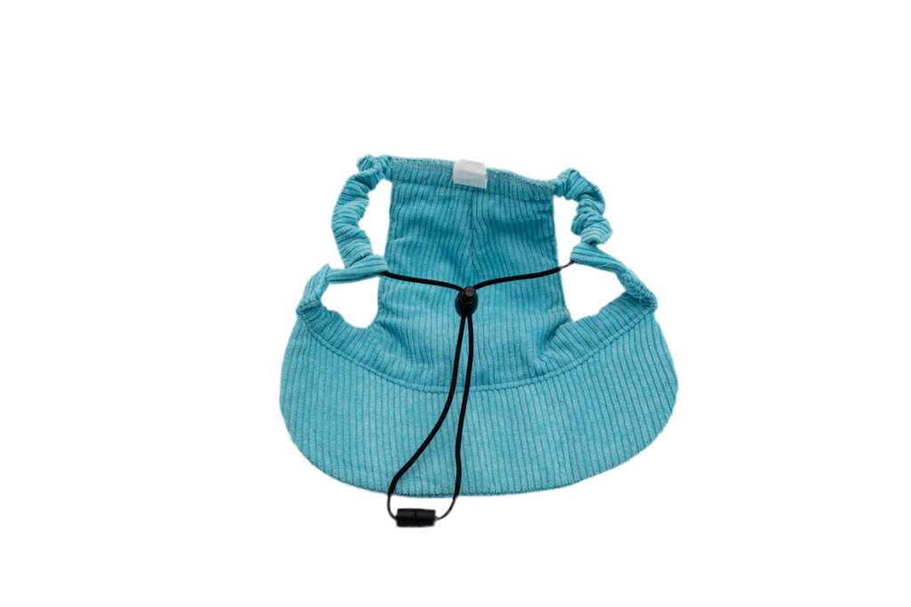 Back view of neon blue corduroy dog hat showing adjustable chin strap and ear openings.
