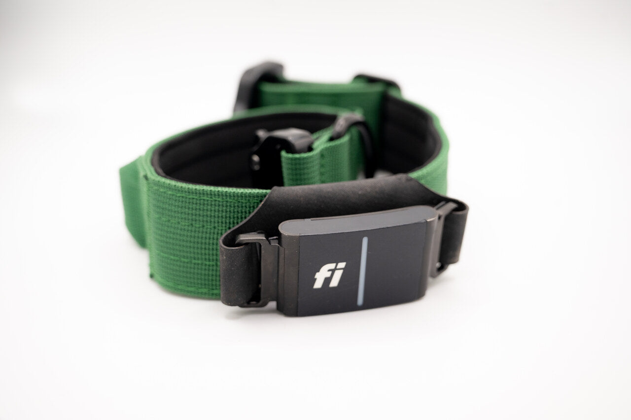 The Golden Life Trail Collar – Dog Collar with Built-In Handle