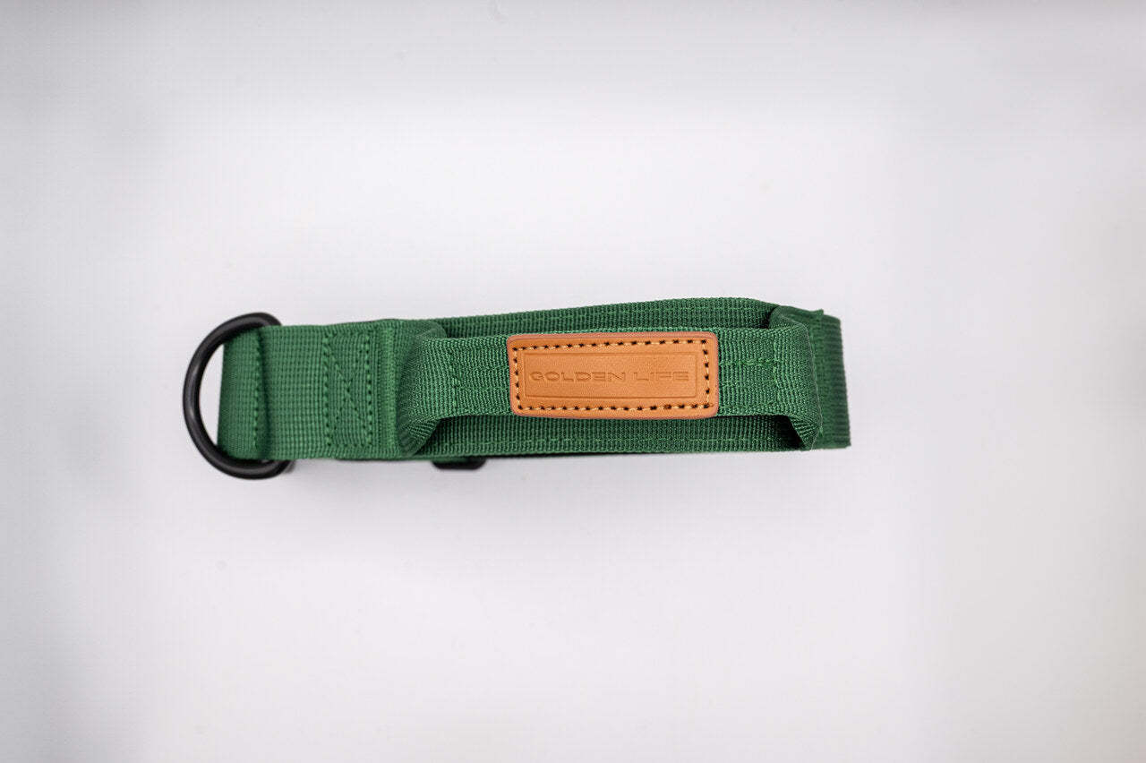 The Golden Life Trail Collar – Dog Collar with Built-In Handle