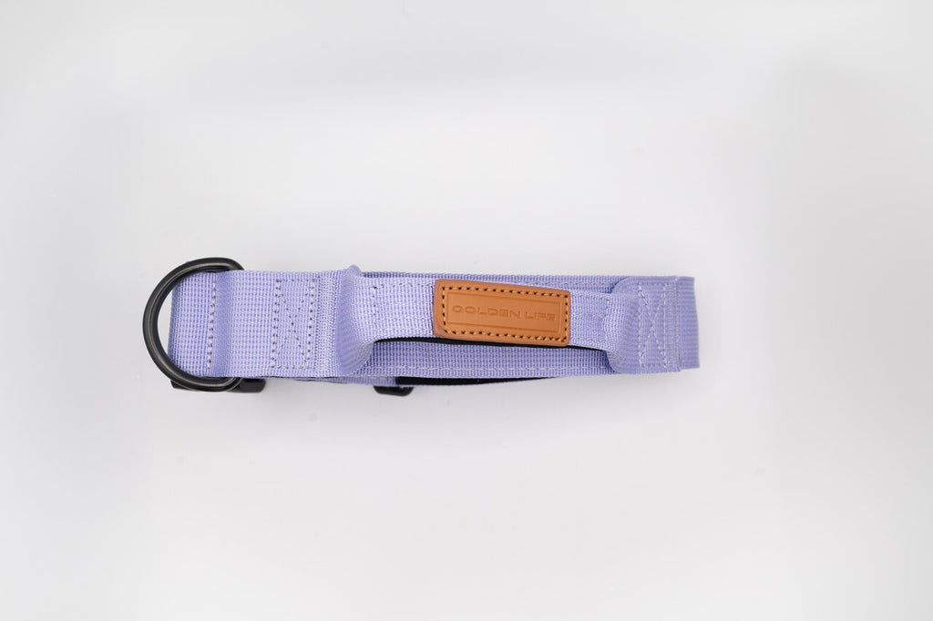 The Golden Life Trail Collar – Dog Collar with Built-In Handle