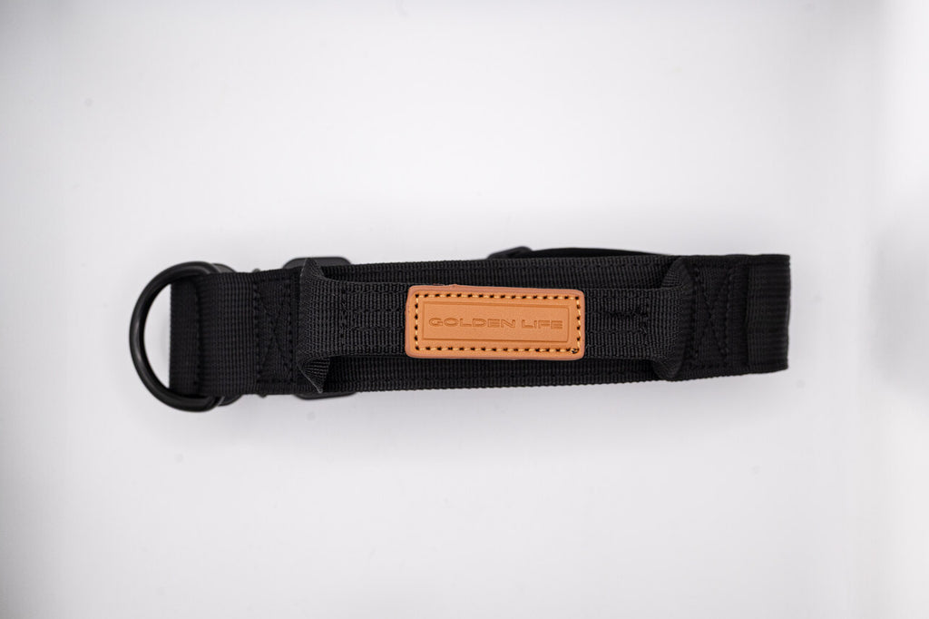 The Golden Life Trail Collar – Dog Collar with Built-In Handle