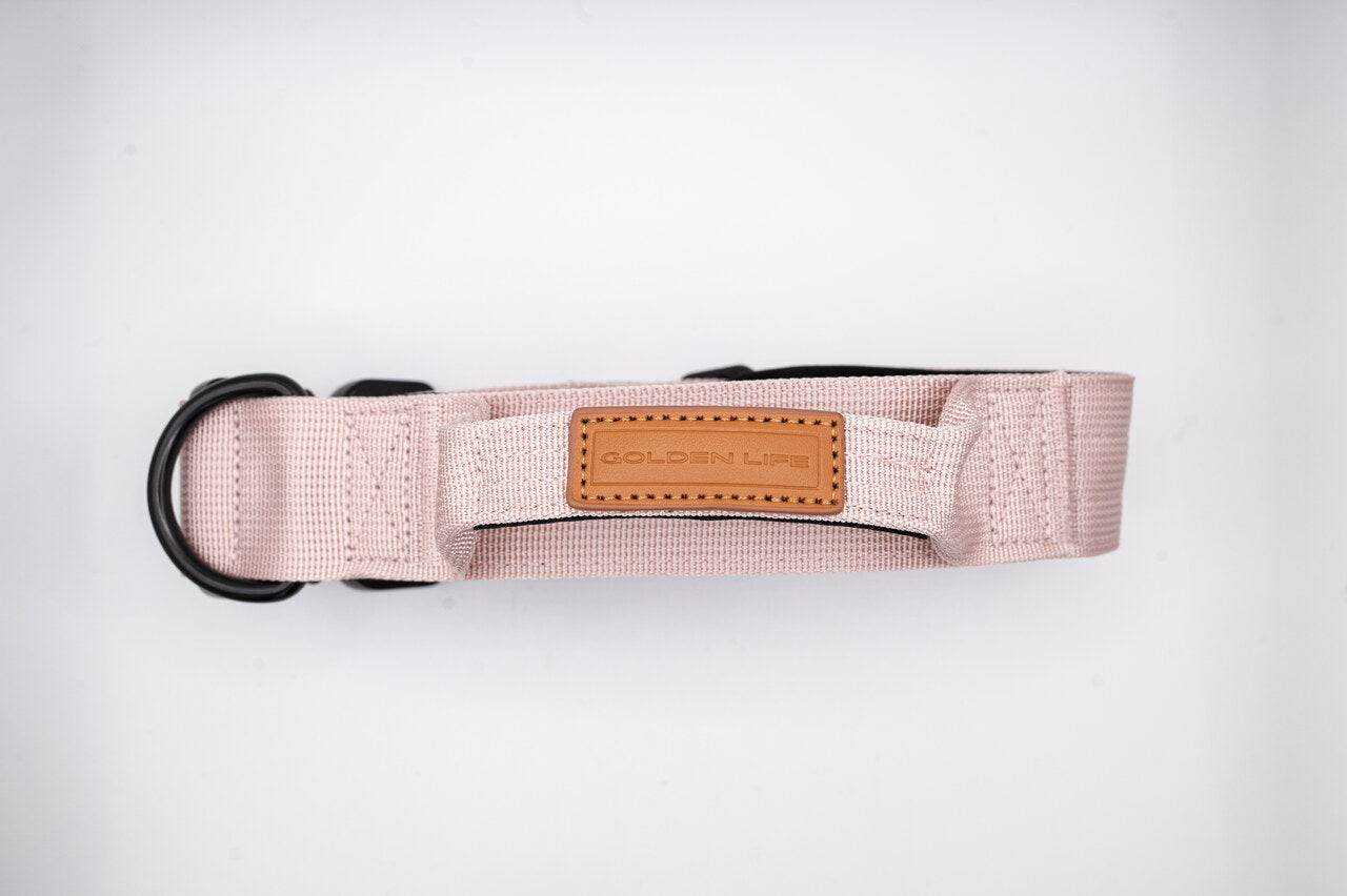 The Golden Life Trail Collar – Dog Collar with Built-In Handle