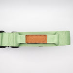The Golden Life Trail Collar – Dog Collar with Built-In Handle
