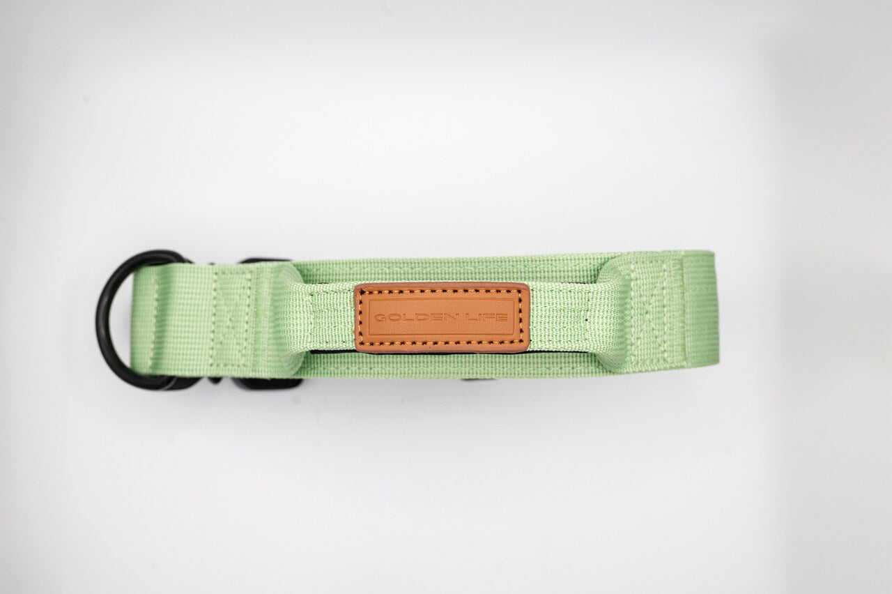 The Golden Life Trail Collar – Dog Collar with Built-In Handle