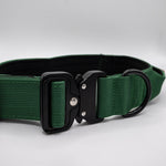 The Golden Life Trail Collar – Dog Collar with Built-In Handle