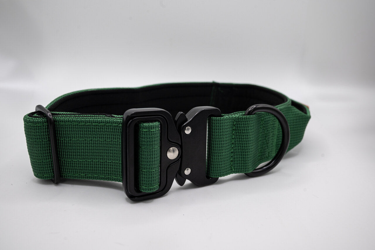 The Golden Life Trail Collar – Dog Collar with Built-In Handle
