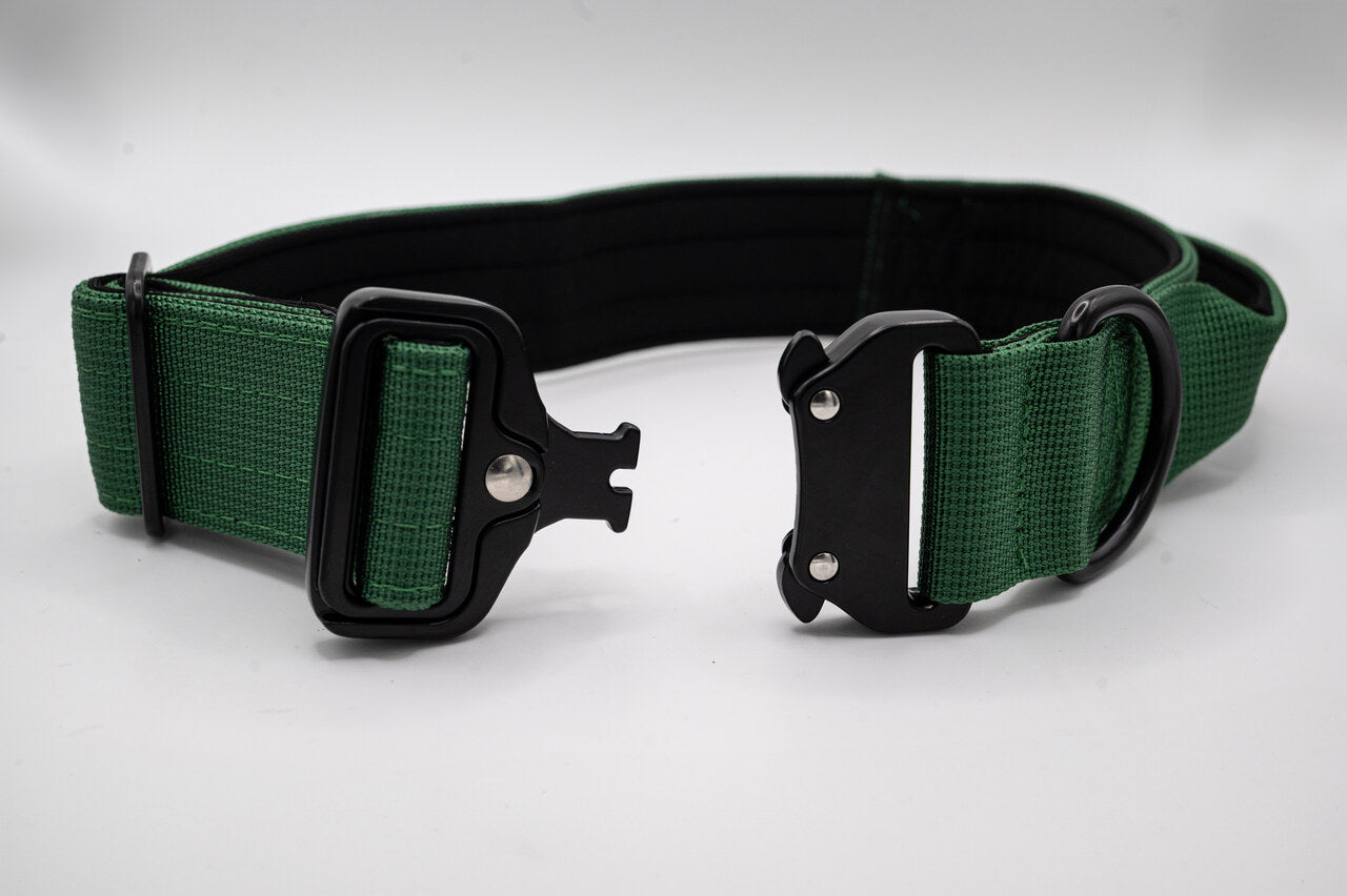 The Golden Life Trail Collar – Dog Collar with Built-In Handle