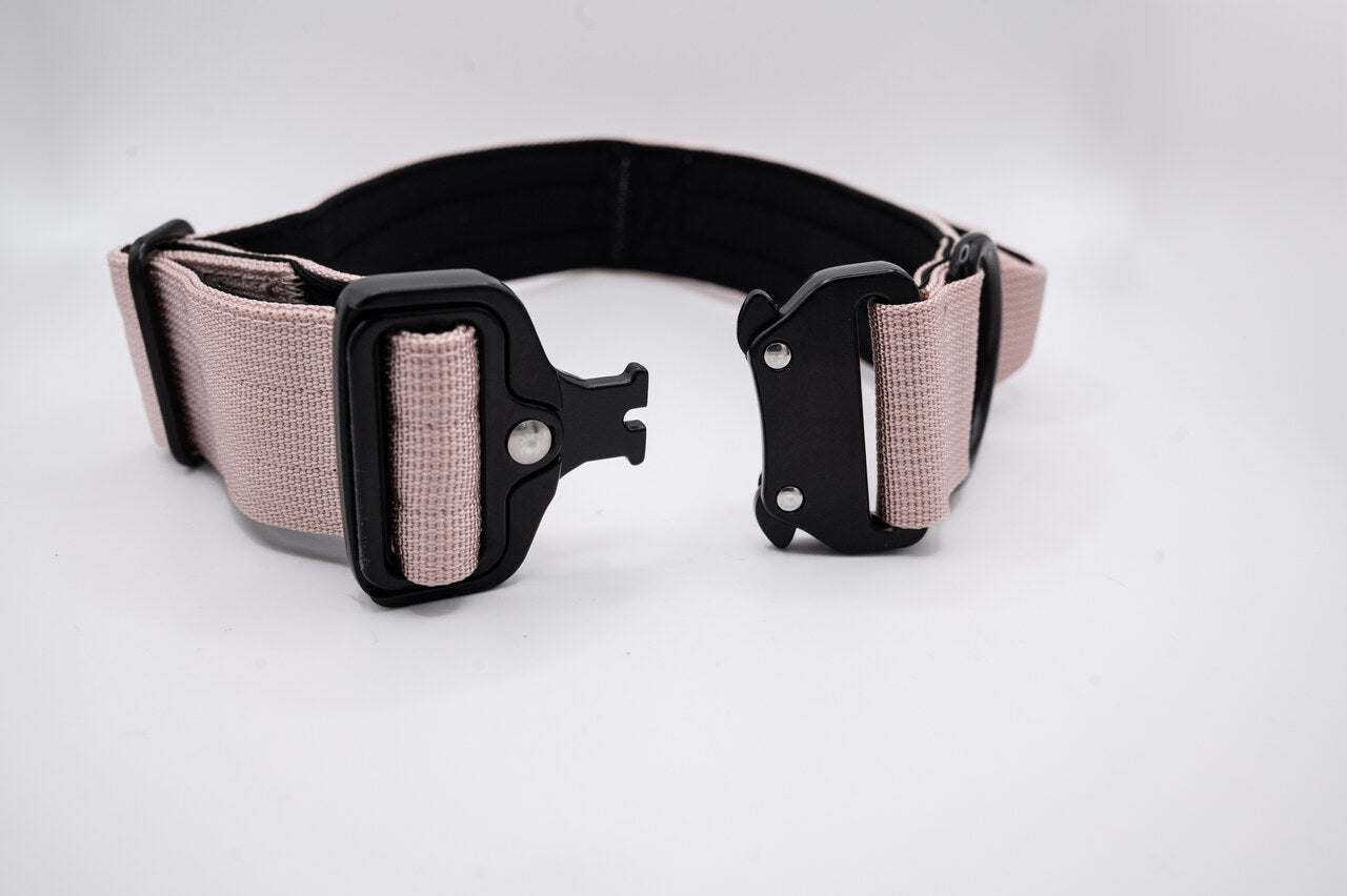 The Golden Life Trail Collar – Dog Collar with Built-In Handle