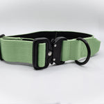 The Golden Life Trail Collar – Dog Collar with Built-In Handle