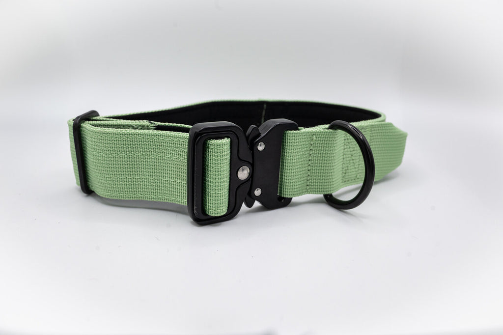 The Golden Life Trail Collar – Dog Collar with Built-In Handle