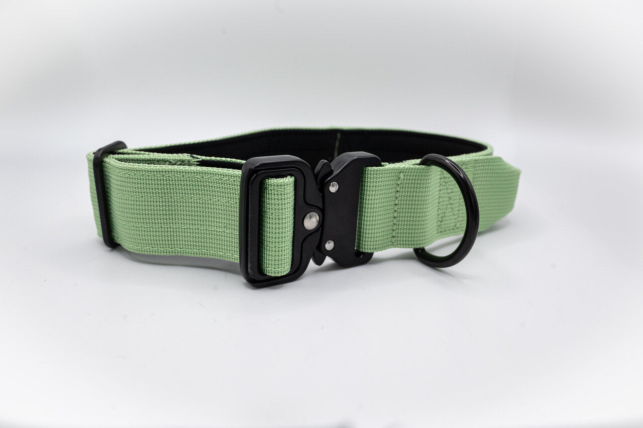 The Golden Life Trail Collar – Dog Collar with Built-In Handle