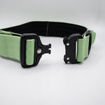 The Golden Life Trail Collar – Dog Collar with Built-In Handle