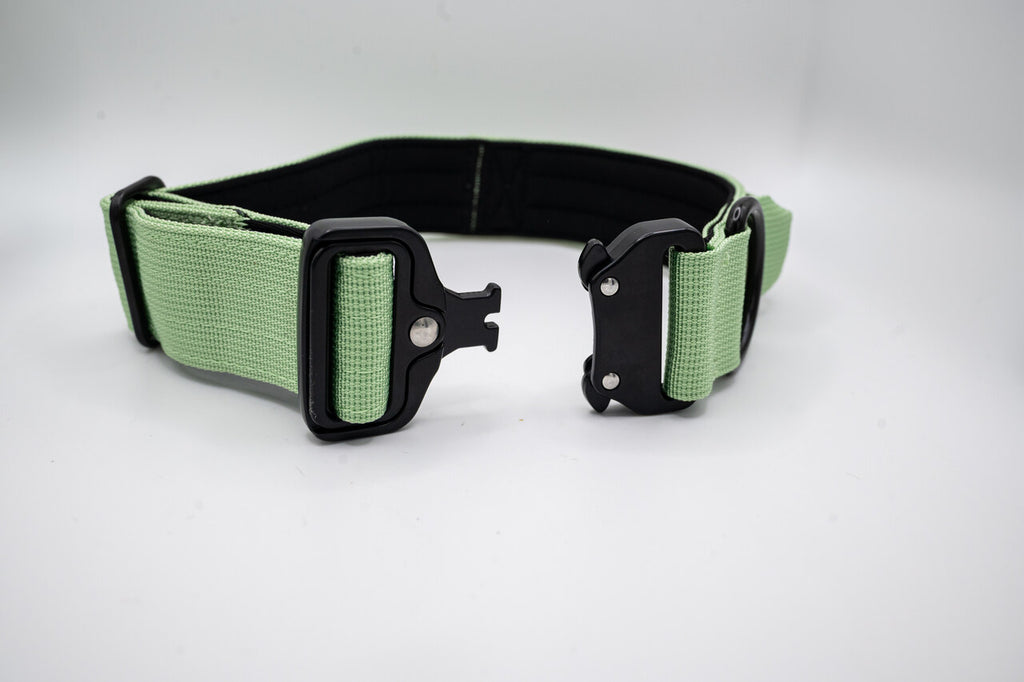 The Golden Life Trail Collar – Dog Collar with Built-In Handle