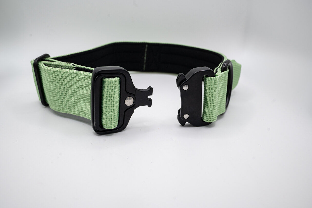 The Golden Life Trail Collar – Dog Collar with Built-In Handle