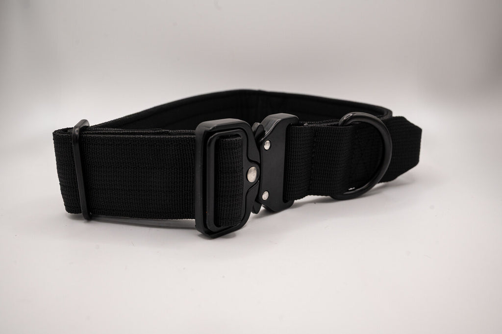 The Golden Life Trail Collar + Leash Kit